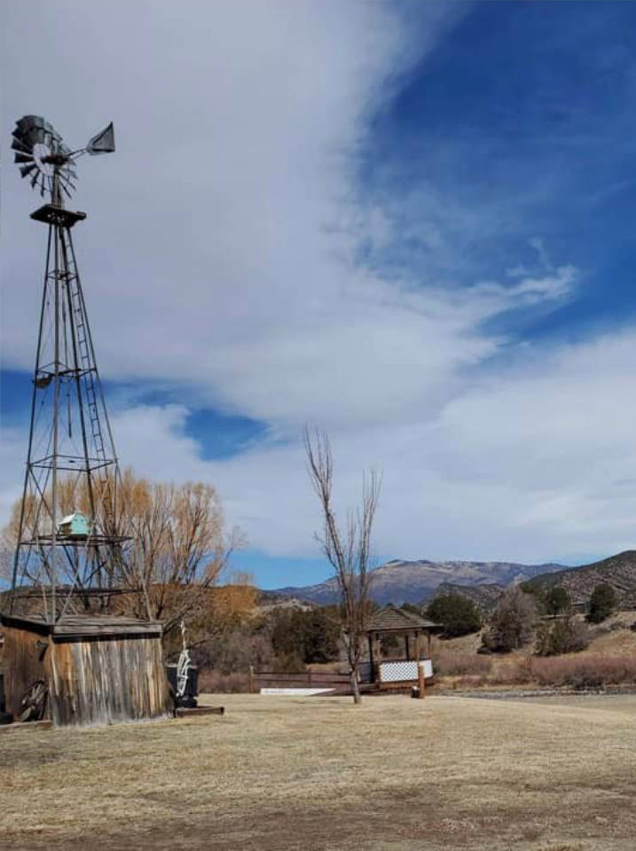 Tunstall Auction in Howard, CO
